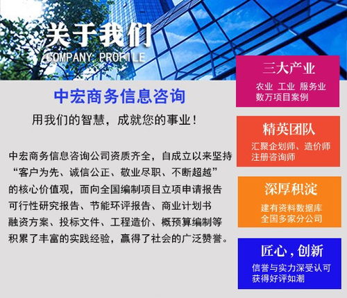 鄒平商業(yè)計(jì)劃書專業(yè)代寫與商務(wù)信息咨詢服務(wù)企劃案